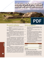 Evolucion de La Produccion y Comercio Del Arroz en Mexico PDF