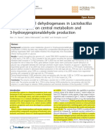 1,3-Propanediol Dehydrogenases in L Reuteri