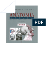 Textos Anatomía Humana.docx