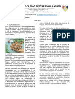 1º Guìa de Español. Ciclo IV (1).pdf