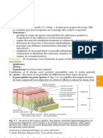 La Peau Anatomie Et Physio en Soin Infirm