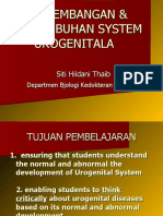 Perkembangan & Pertumbuhan System Urogenitala
