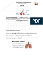 Taller y Guía #4 Respiratorio y Circulatorio PDF