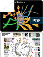 Genc3a9tica Bacteriana Completo Medicina 2016