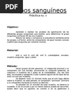 Grupos sanguíneos