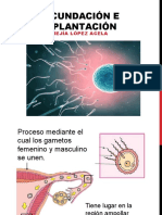 Fecundación-e-implantación (1).pptx