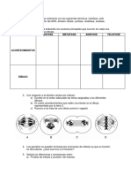 Taller Mitosis y Meiosis