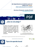 Nal de Chocolates - Ing. Abraham Jaraba. Plagas de Importancia Económica para El Cultivo de Cacao. Alternativas para Su Control (12.06.2020)