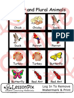 Singular and Plural Animals: Chick Chicks Duck