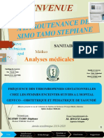 Power Point Soutenance Simssa