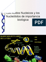 6_Ácidos Nucleicos y Nucleótidos