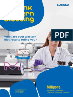 Rethink Western Blotting: What Are Your Western Blot Results Telling You?