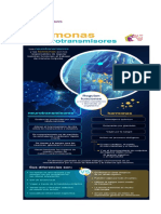 Hormonas y Neurotransmisores