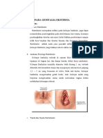 Radang Pada Genitalia Eksterna