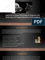 Approach of Image Processing in Diagnosis and Medication of Fungal Infections in Pet Animals