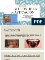 Músculos de La Masticación