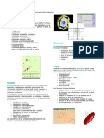 SF Geology Esp