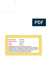 eucalipto.docx