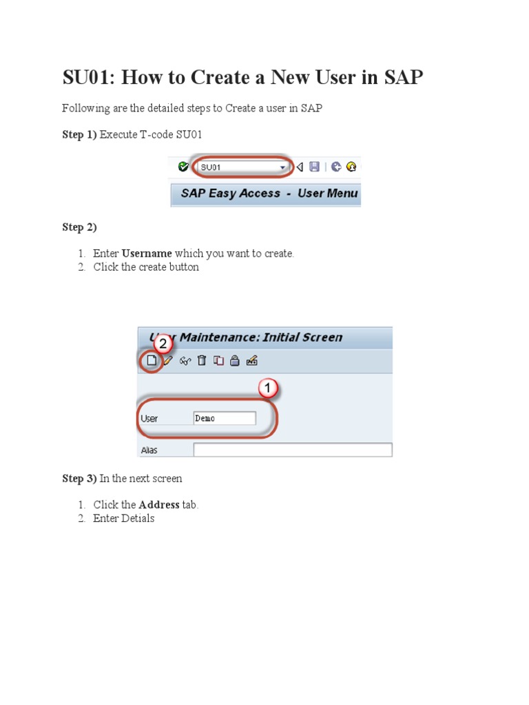 Create SAP User: Step-by-Step Guide | PDF | Computers