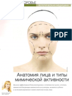 Анатомия лица и типы мимической активности