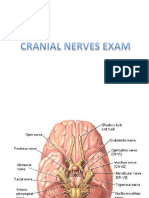 Cranial Nerves Examination Complete PDF