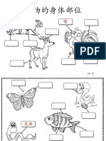 动物的身体部位