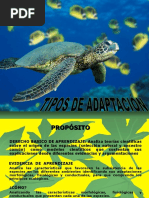 Tipos de Adaptacion