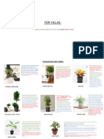 Plants For Villa and Apartment Indoor Plants, Planters and Materialof Planters and Basic Kit
