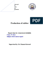 Production of Rubber Report