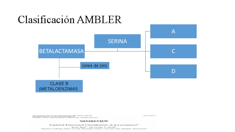 Clasificación de Betalactamasas AMBLER | PDF