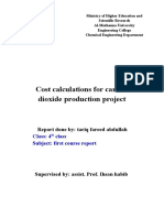 Cost Calculations For Carbon Dioxide Production Project