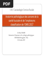 CancersCB + Oropharynx 2019 Anapath