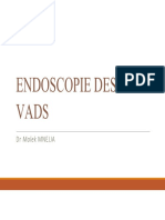 Endoscopie Des VADS