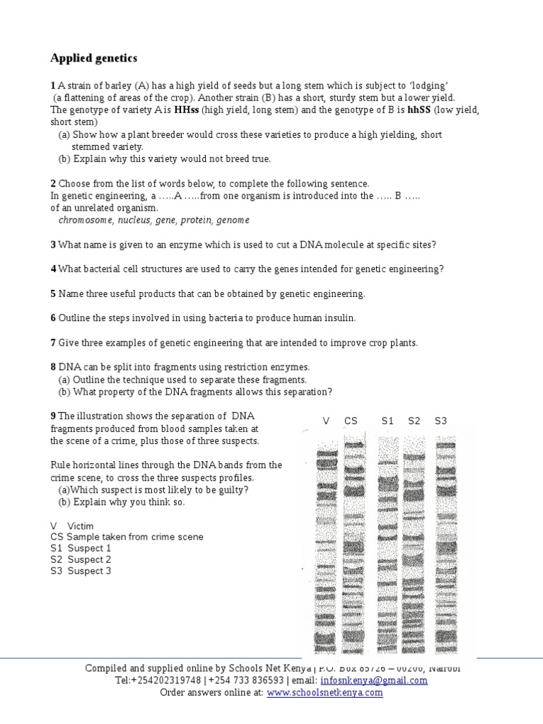 Applied Genetics Worksheet Guide | PDF | Genetic Engineering | Genetics