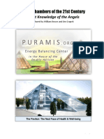 Pyramid Chambers of The 21st Century by William Brown and Jim Grapek