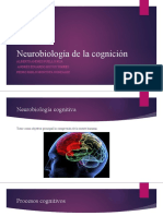 Neurobiología de La Cognición