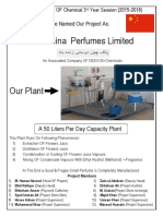 Pak-China Perfumes Project Report