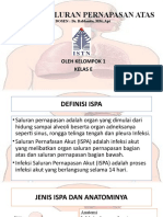 Infeksi Saluran Pernapasan Atas