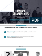 Unicamp-Desenho-Organizacional-pl (1).pdf