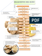 Kion y palmito mod..pdf