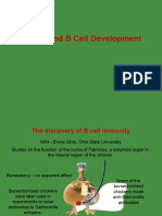 B-Cell Development