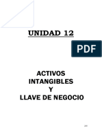 U12activosintangiblesyllavedenegocio PDF