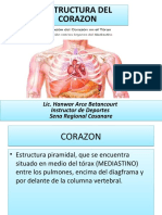 2nnESTRUCTURAnDELnCORAZON___475eb5ae4c86c58___