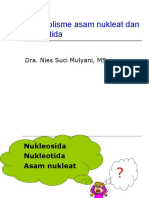 Metabolisme Asam Nukleat Dan Nukleotida