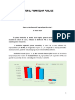 RaportexecutiabugetaratrimestrulI02052017 (1)