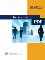 206438705-Treinamento-PI-v1-1-docx.docx