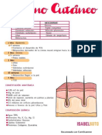 Apuntes Bonitos Derma