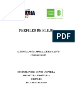 Perfiles de Flujo - Angela Maria Aceros Galvis - 2162287 - Hidraulica - D2