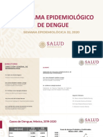 Pano Dengue 32 2020 PDF