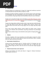 Download Respirasi Pada Tumbuhan by Sangkot Tarigan SN47434470 doc pdf
